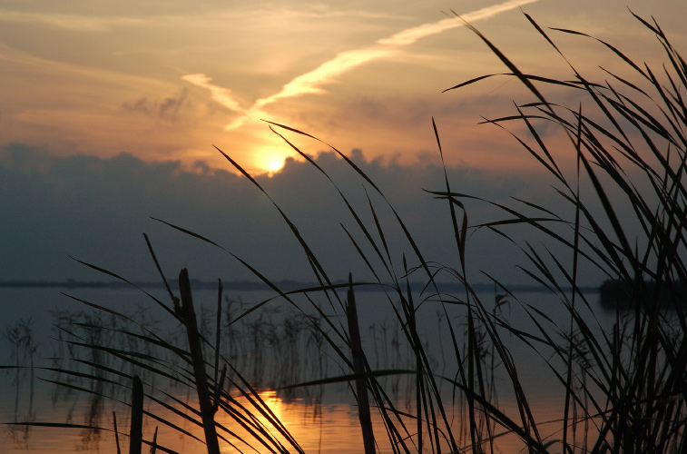 Tranquility